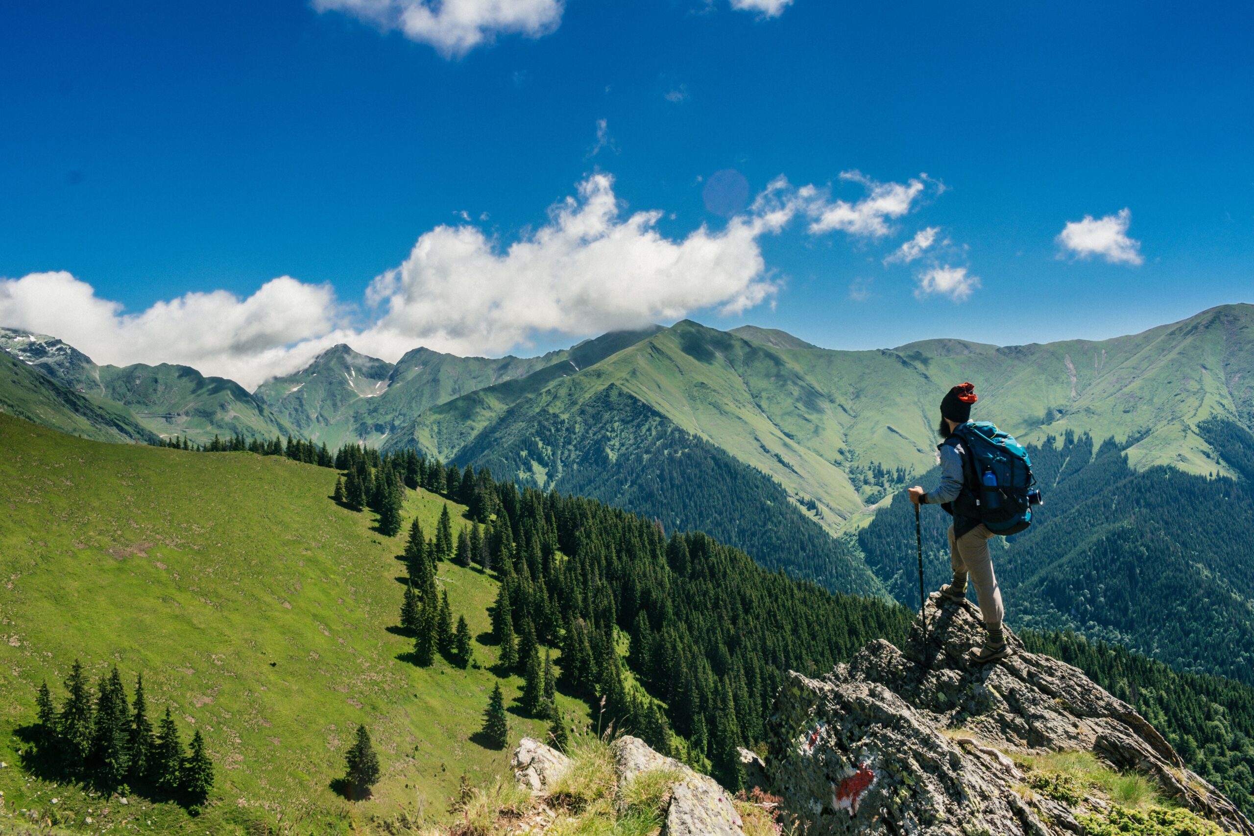 pexels-andreimike-1271619 a traveler