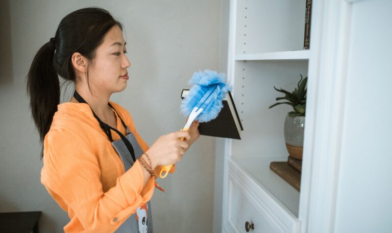 a lady cleaning bookshelf